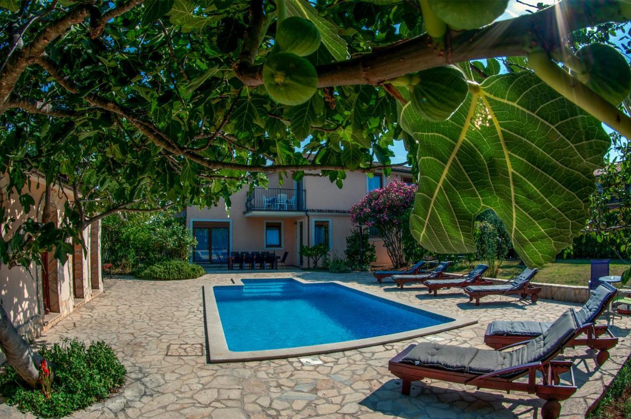 House /villa Maja Вилла *